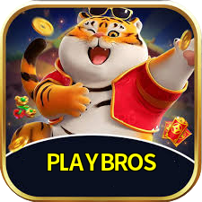 PLAYBROS logo